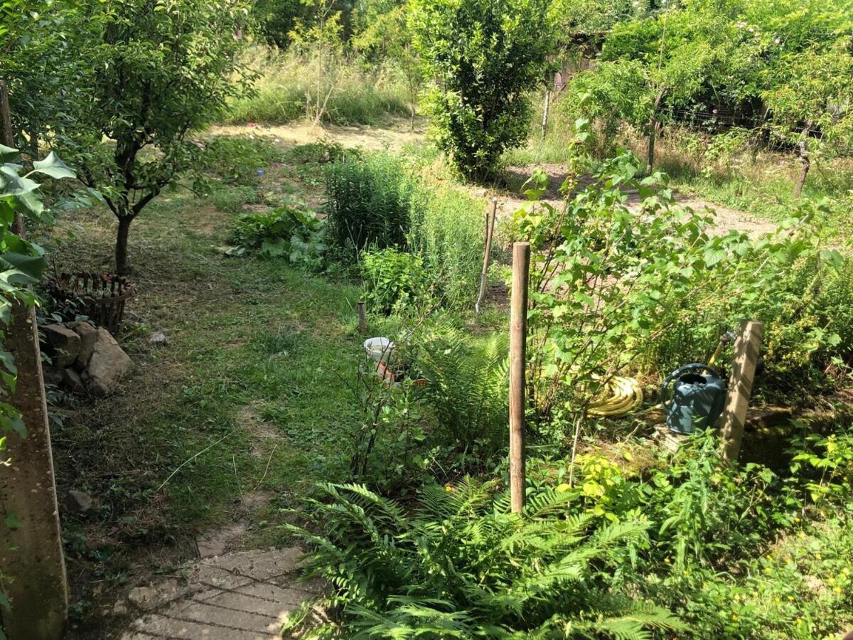 Gite Du Ried Bischwiller Exterior foto